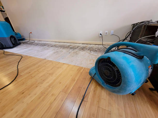 Reliable Basement Flood Cleanup contractor in Waterford, CT by Hirex Water Damage