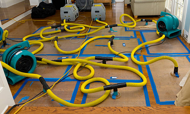 Professional Basement Flood Cleanup technician working in Waterford, CT